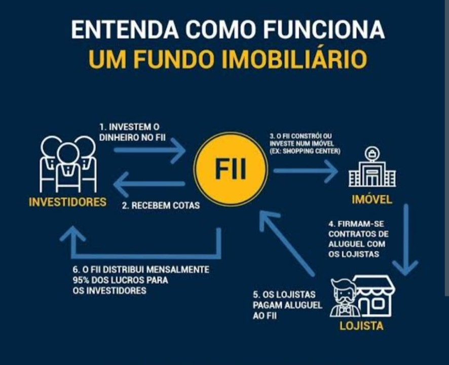 Fiis
